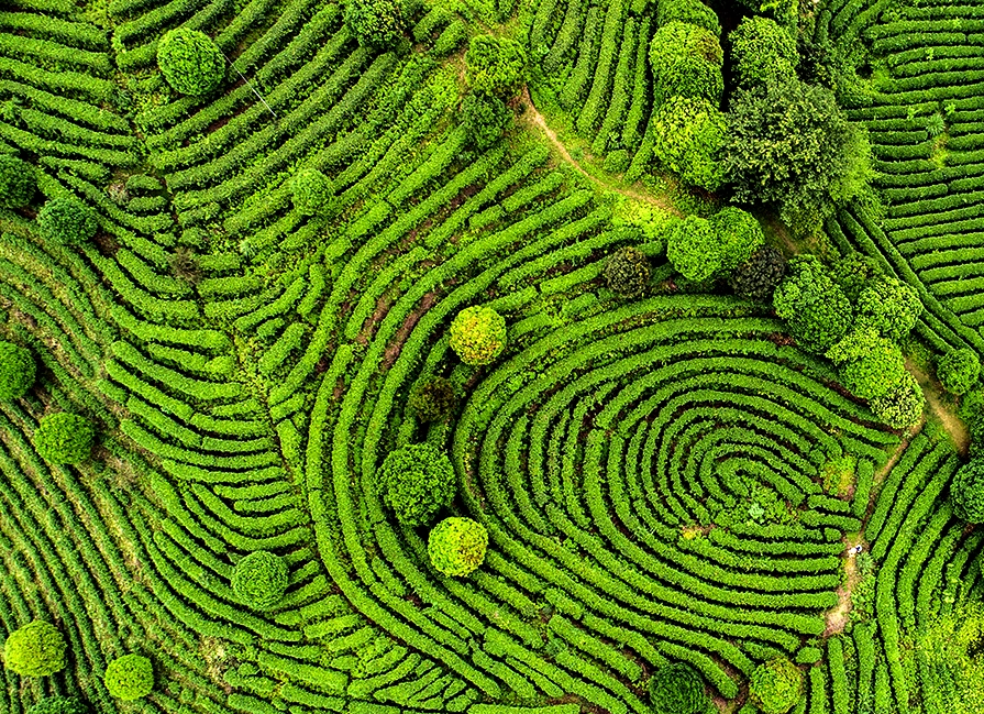 Turn sustainability goals into measurable impact