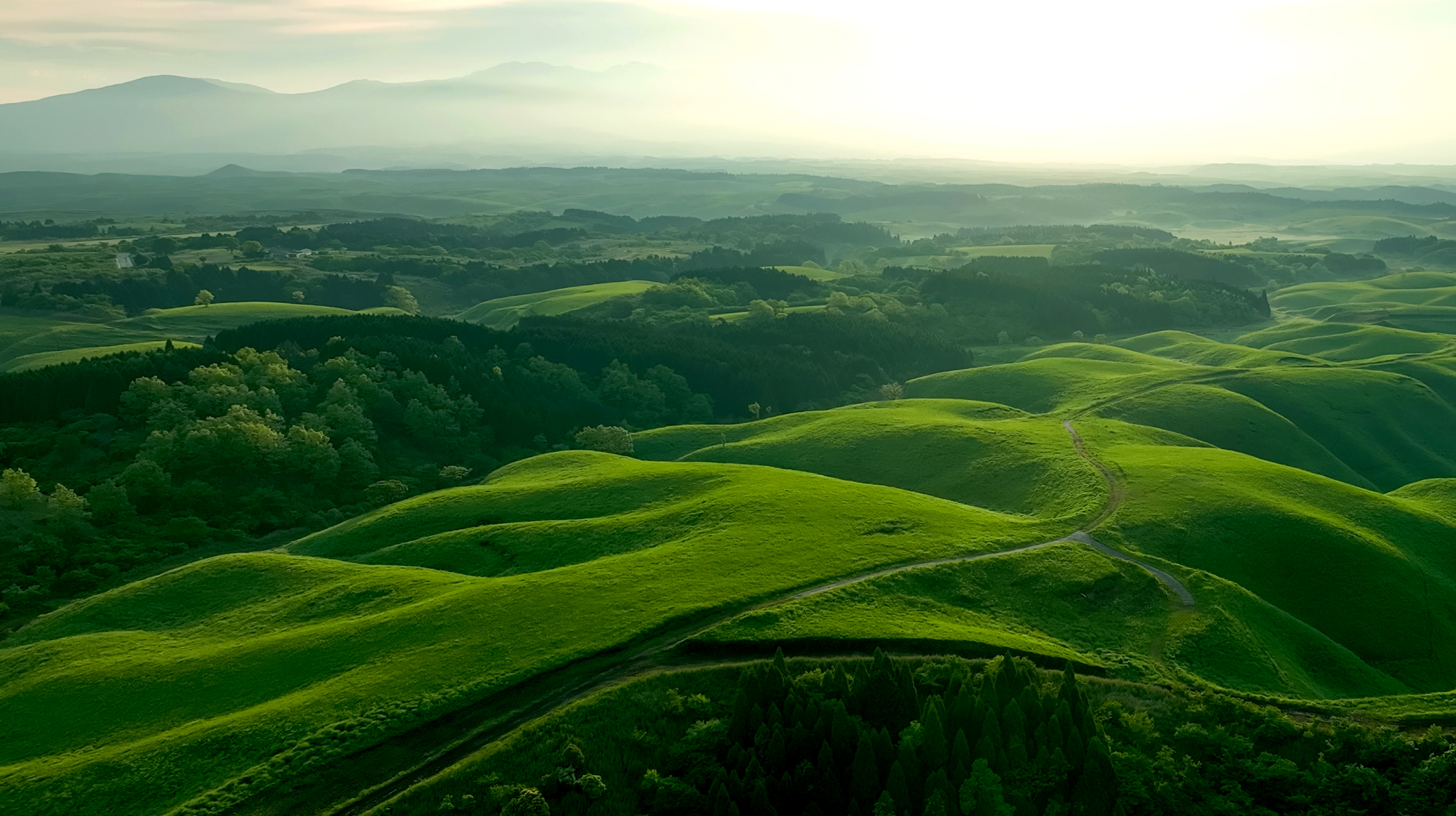 Advito launches new service to help companies prepare business travel emissions for audit